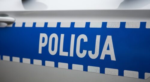 Wrocław: Policja rozbija nielegalną uprawę grzybów halucynogennych – dwie osoby zatrzymane