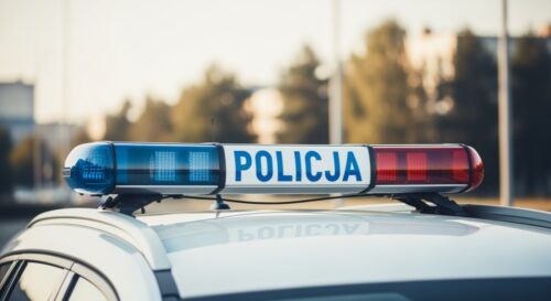 Recydywista z Legnicy aresztowany za ukrywanie narkotyków i amunicji w pralce oraz prysznicu