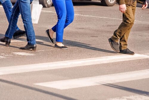 Zaginięcia w Lwówku: Policja apeluje o ostrożność w lesie
