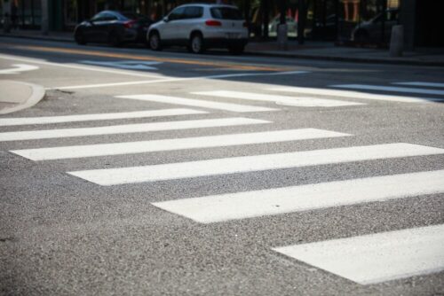 Agresywny pies w Wrocławiu: właściciel usłyszał zarzuty narażenia życia przechodniów
