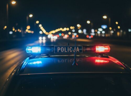 Nielegalny wyręb drewna: Sprawca w rękach policji!