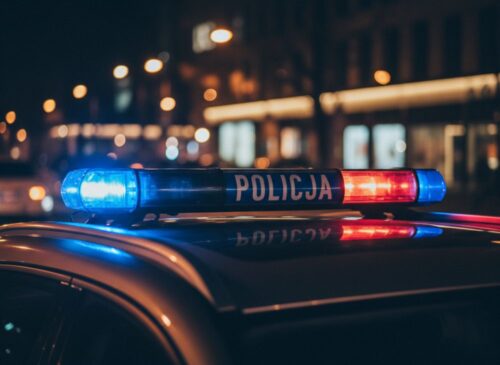 Policjanci odkrywają amfetaminę w tajnej skrytce w Kłodzku