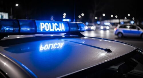 Podwójny występek: Mężczyzna złamał zakaz prowadzenia auta i trafił w ręce policji