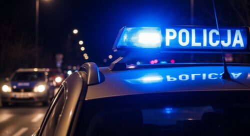 Kolejne skuteczne zatrzymanie poszukiwanego poza granicami