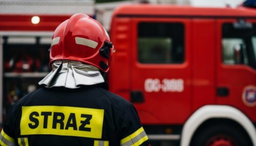 Pies w potrzasku: Strażacy ratują czworonoga z norze nad Odrą