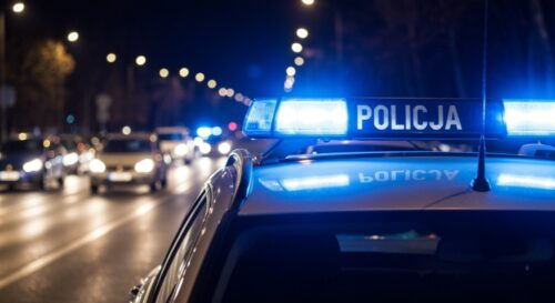Zatrzymanie włamywacza we Wrocławiu: 21 zarzutów za kradzieże w ogrodach działkowych