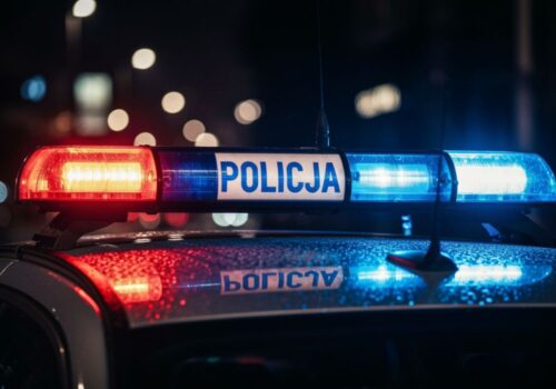 Zatrzymani przestępcy, milionowe straty: Policja z Zgorzelca rozbija nielegalny handel!