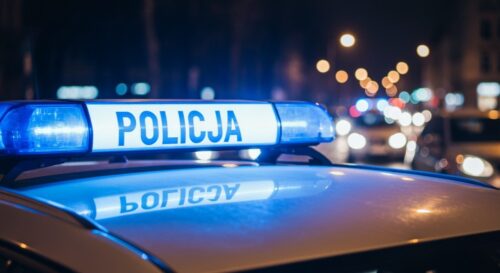 Zatrzymany po 14 latach w ukryciu: jak „Łowcy Głów” rozwiązały zagadkę przestępcy z Dolnego Śląska