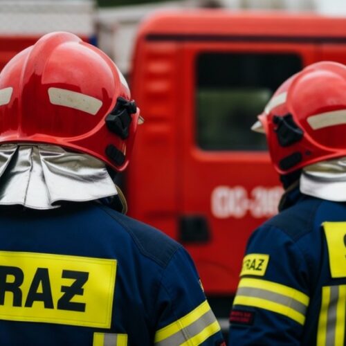 Ewakuacja egzotycznych zwierząt: strażacy z Wrocławia w akcji szkoleniowej