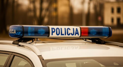 Interwencja policji, która dała kotu nowy dom