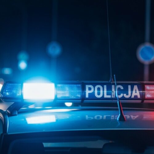 Brutalna zbrodnia na psie w Strzelinie – sprawcy w rękach policji!