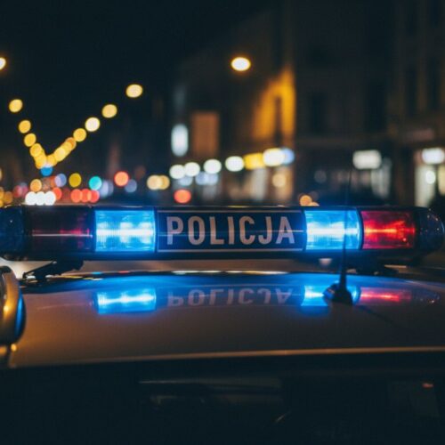 Syn terroryzował 77-letnią matkę – aresztowany przez policję
