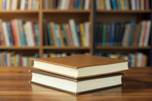Spotkanie z autorką „Jeżynki” w Bibliotece Publicznej w Sobótce 11 maja