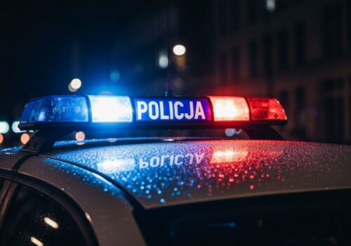 Legniczanin skazany za obraźliwe nagranie z interwencji policji