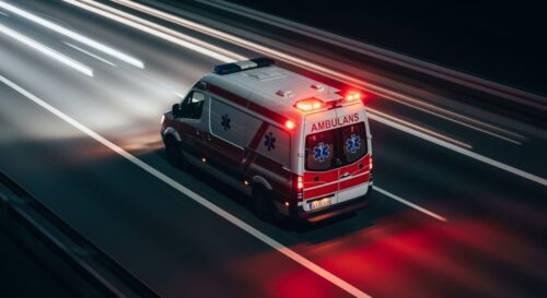 Niecodzienne znalezisko na Odrze: martwy sum i przypomnienie o bezpieczeństwie na wodzie