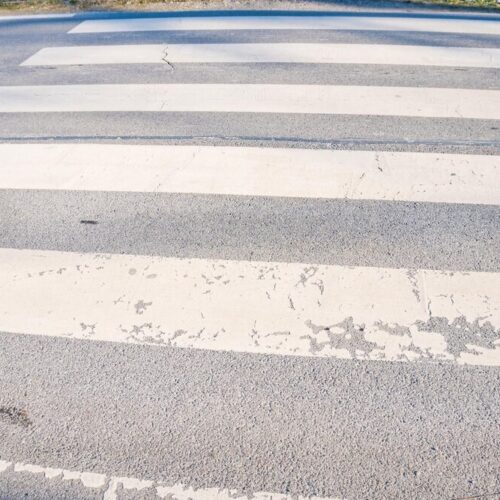 Policja w akcji: Ratunek dla zagubionego koźlęcia sarny w Legnicy
