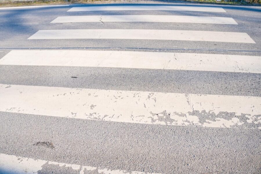 Policja w akcji: Ratunek dla zagubionego koźlęcia sarny w Legnicy