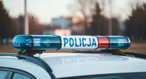 Policjanci z Trzebnicy w akcji ratunkowej dla rannego koźlęcia sarny