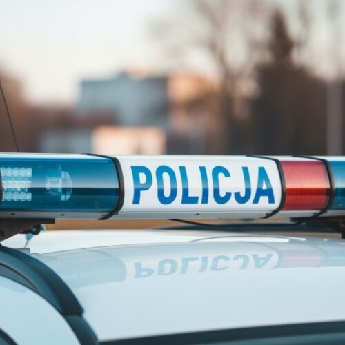 Policjanci z Trzebnicy w akcji ratunkowej dla rannego koźlęcia sarny