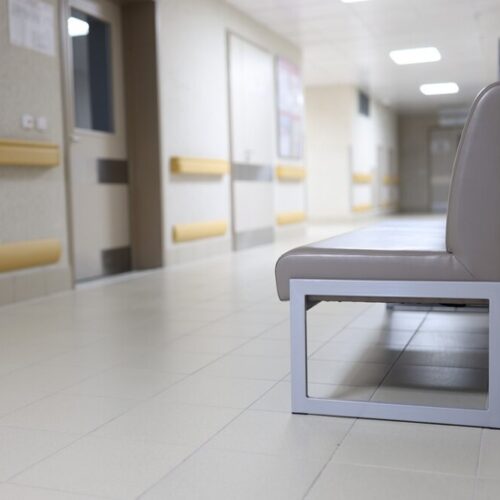 Gąsienice kuprówki rudnicy w Kobierzycach: zagrożenie dla zdrowia mieszkańców!