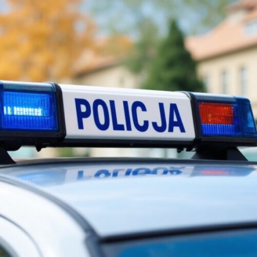 Zatrzymany na gorącym uczynku: złodziej drogowych podkładów w Jedlinie-Zdroju