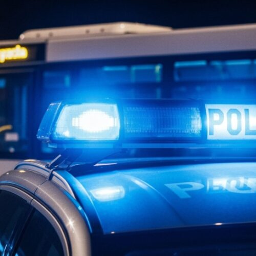 Pneumatyczny napad w Oleśnicy: Mężczyzna zatrzymany po kradzieży w mieszkaniu