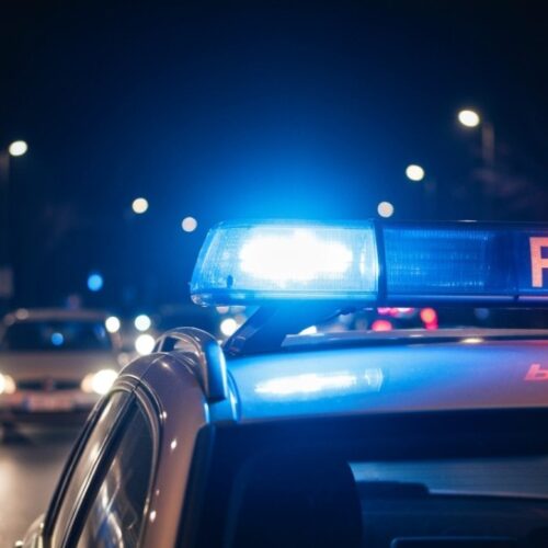 Brutalne znęcanie nad psem: Policja ratuje zwierzę w Kłodzku