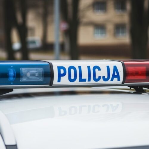 Policjanci z Lwówka Śląskiego ratują psa i zdobywają serca mieszkańców