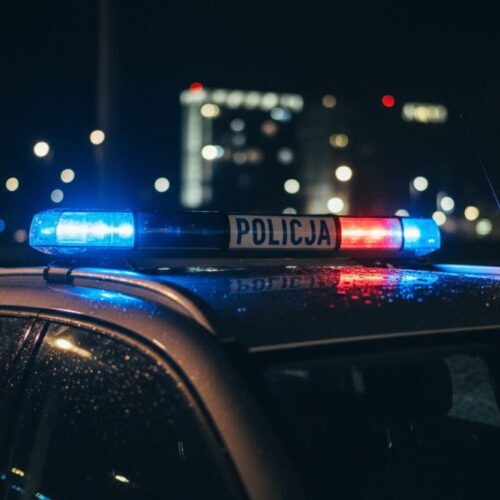 Tragiczny pościg: Ucieczka zakończona w lesie