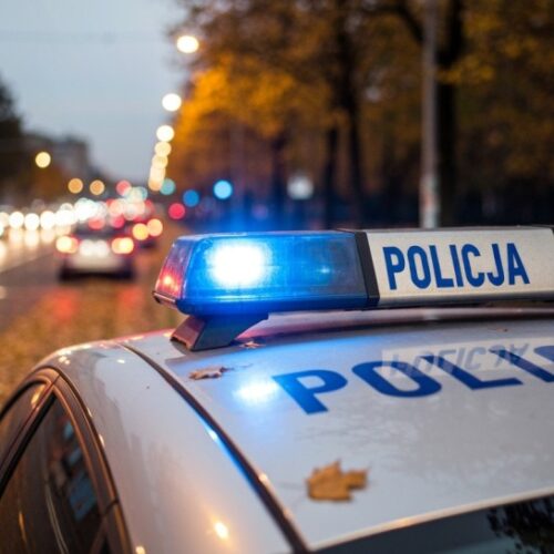 Górowscy policjanci zatrzymali sprawcę serii włamań, kradzieży i zniszczeń mienia – mężczyzna odpowie za blisko 30 przestępstw!…