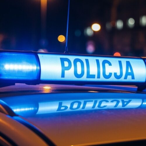 Zatrzymany w Zgorzelcu: pięć zakazów i nieudana ucieczka przed policją