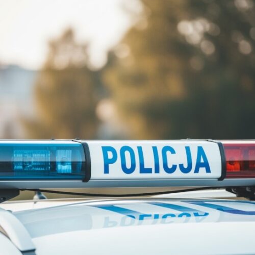 Słowacki włamywacz zatrzymany po kradzieży 90 tysięcy złotych w Dolnośląskim