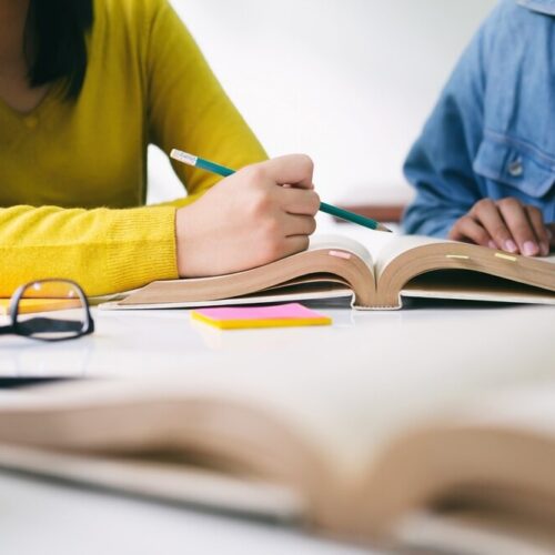Leśna szkoła w Sobótce – nowa jakość edukacji dla dzieci