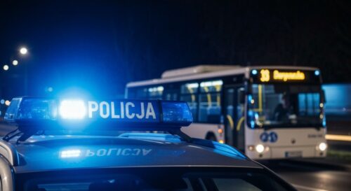 Polska i Niemcy w sojuszu przeciwko kradzieżom samochodów