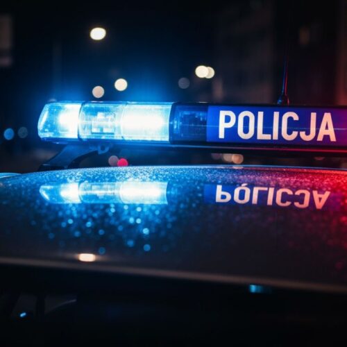 Zaufany opiekun czy złodziej? Seniorzy w niebezpieczeństwie!