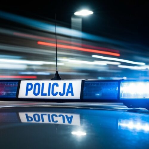 Husky uratowany dzięki lokalnej społeczności – 36-latek w rękach policji