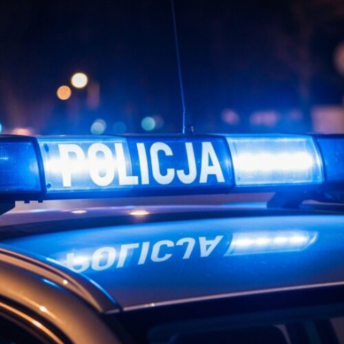 Koniec koszmaru: Policja łapie złodziei w Oleśnicy
