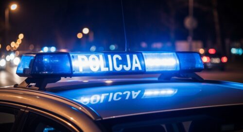 Złodziej w Oławie zatrzymany po brutalnej kradzieży w sklepie
