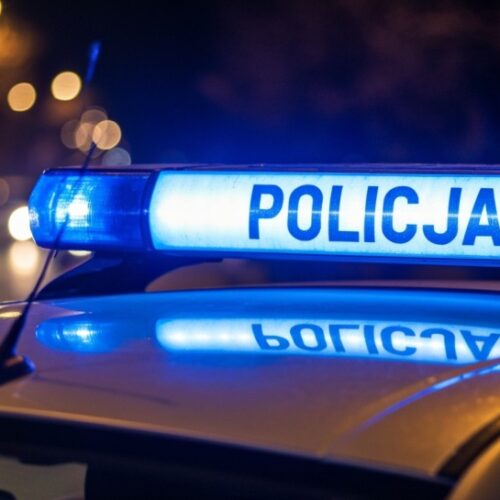 Wielka akcja policji: zlikwidowano nielegalną plantację konopi!