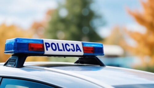 Dzielnicowi z Polkowic w akcji: Zatrzymano złodzieja z kradzionym telefonem!
