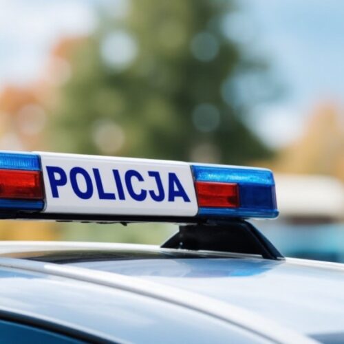 Dzielnicowi z Polkowic w akcji: Zatrzymano złodzieja z kradzionym telefonem!