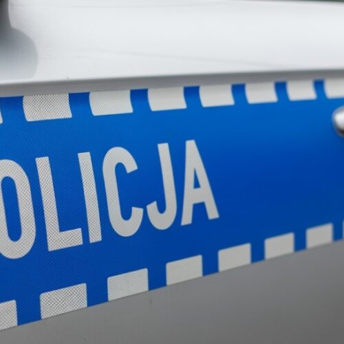 Bezpieczne Dni Karpia w Miliczu z Policją na czołowej linii