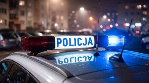 Kradli auta azjatyckich marek – zostali zatrzymani podczas wspólnych działań policjantów i strażników granicznych