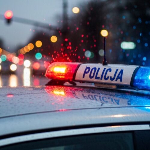 Globalna walka z przestępczością: Siła międzynarodowej współpracy policyjnej