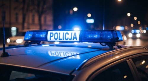Młody oszust zatrzymany po wyłudzeniu 50 tysięcy złotych od seniorki