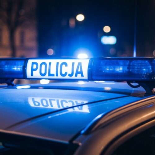 Młody oszust zatrzymany po wyłudzeniu 50 tysięcy złotych od seniorki