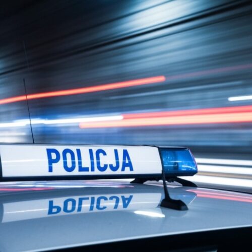 Zatrzymany w Bolkowie: rutynowa kontrola ujawnia kryminalną przeszłość kierowcy