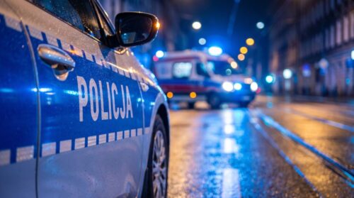 Złodziej z Jawora: 21 zarzutów i powrót do kradzieży po wyjściu z komendy