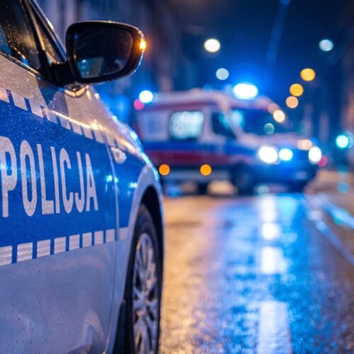 Złodziej z Jawora: 21 zarzutów i powrót do kradzieży po wyjściu z komendy