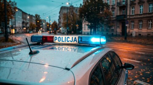 Agresor na ulicy: Mężczyzna zatrzymany za brutalność wobec szczeniaka